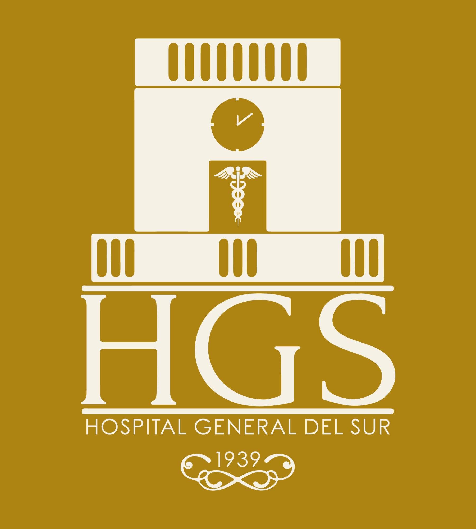 Logotipo Hospital General del Sur